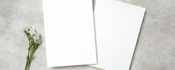 cartes de vœux