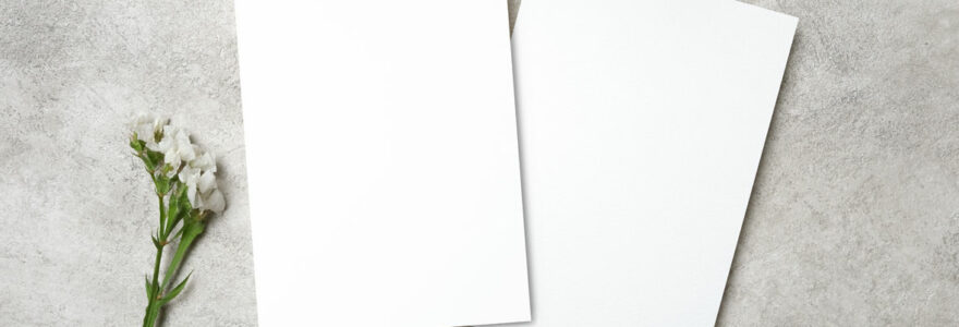 cartes de vœux